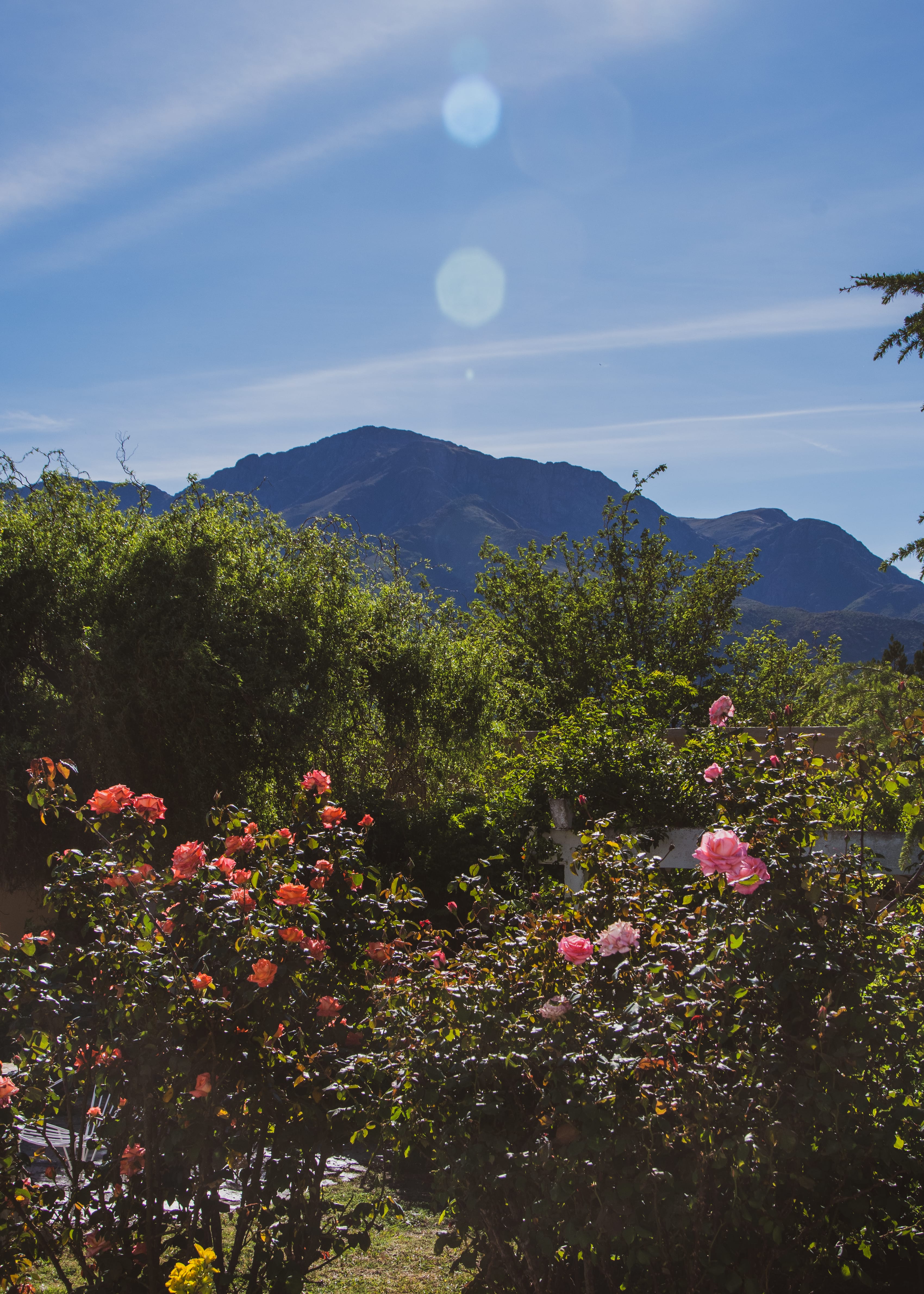 Spa and Wellness Center